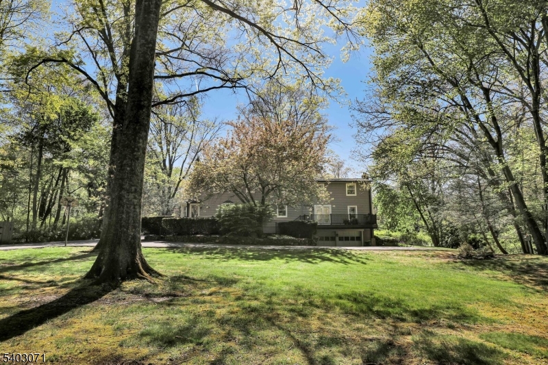 12 Rocky Lane Bernards, NJ 07920 - Photo 48 of 48