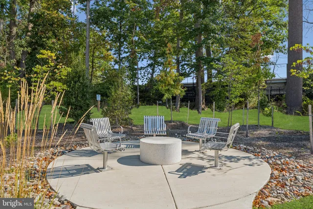 a view of a park with a trees