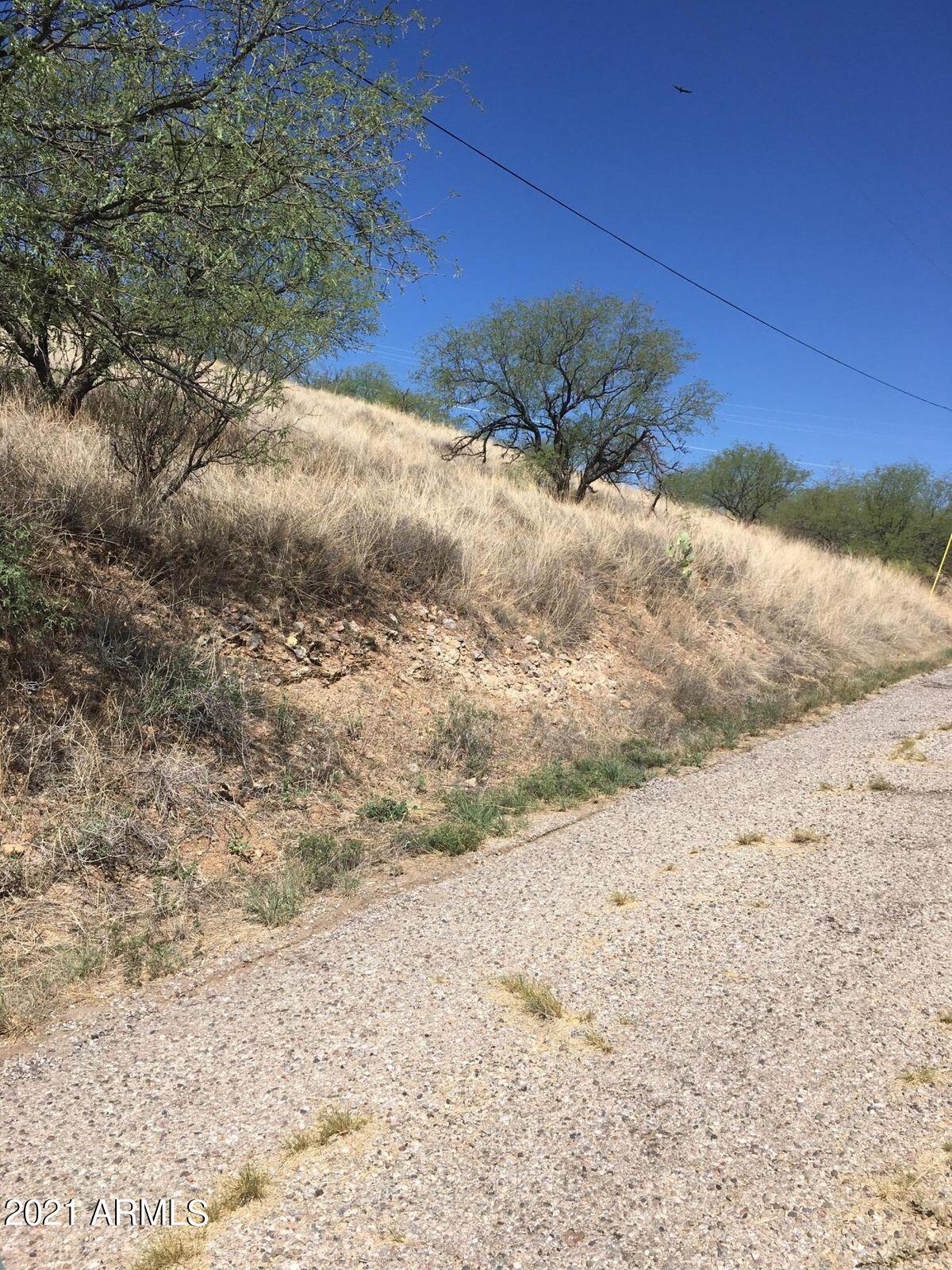 427 Tonichi Court, Unit 76 Rio Rico, AZ 85648 - Photo 4 of 5 a view of a dry yard with trees