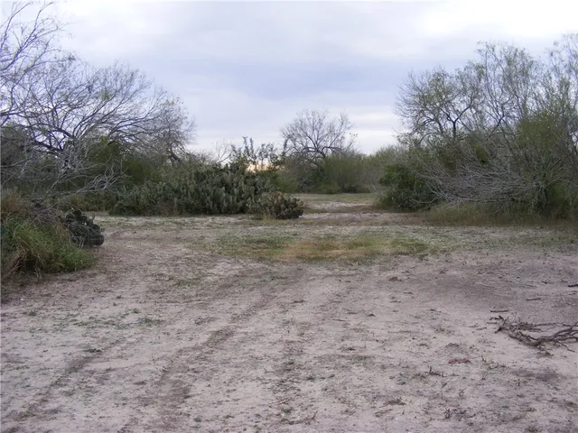 a view of a dirt road with trees