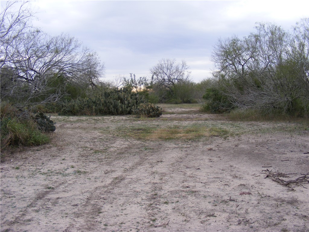 10722 County Road 249 Mathis, TX 78368 - Photo 2 of 13 a view of a dirt road with trees
