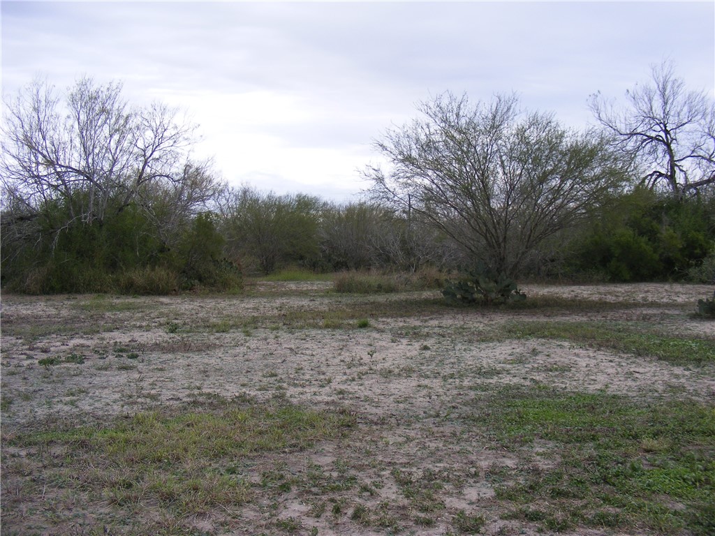 10722 County Road 249 Mathis, TX 78368 - Photo 4 of 13 a view of outdoor space with trees