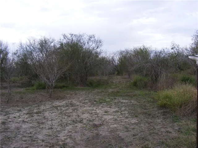 a view of a yard with a tree