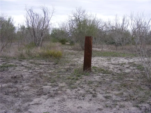 a view of a dry yard