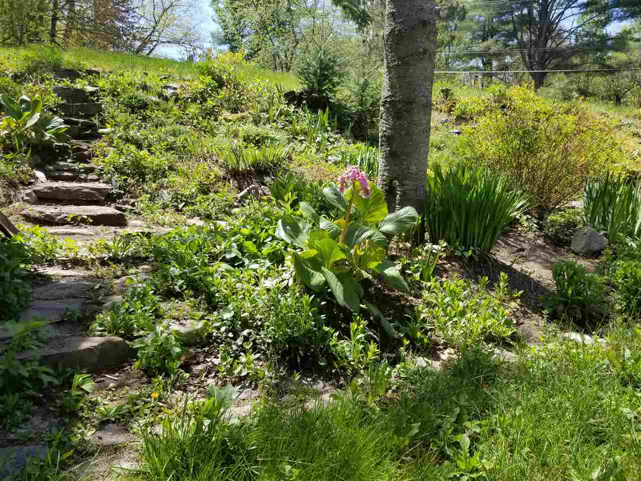 588 Bluff Road Newport, VT 05855 - Photo 6 of 26 Gallery Image 6