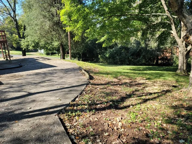 a view of a yard with plants and trees