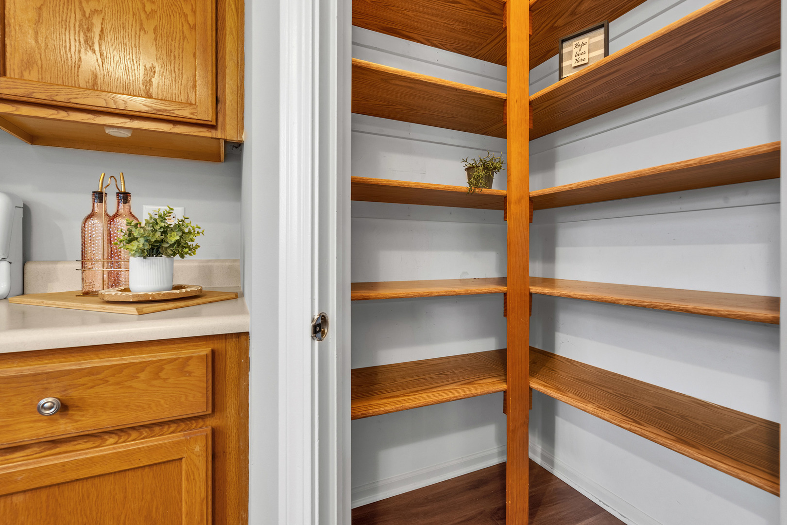 2513 Simon Drive Montgomery, IL 60538 - Photo 13 of 33 a view of walk in closet with empty racks