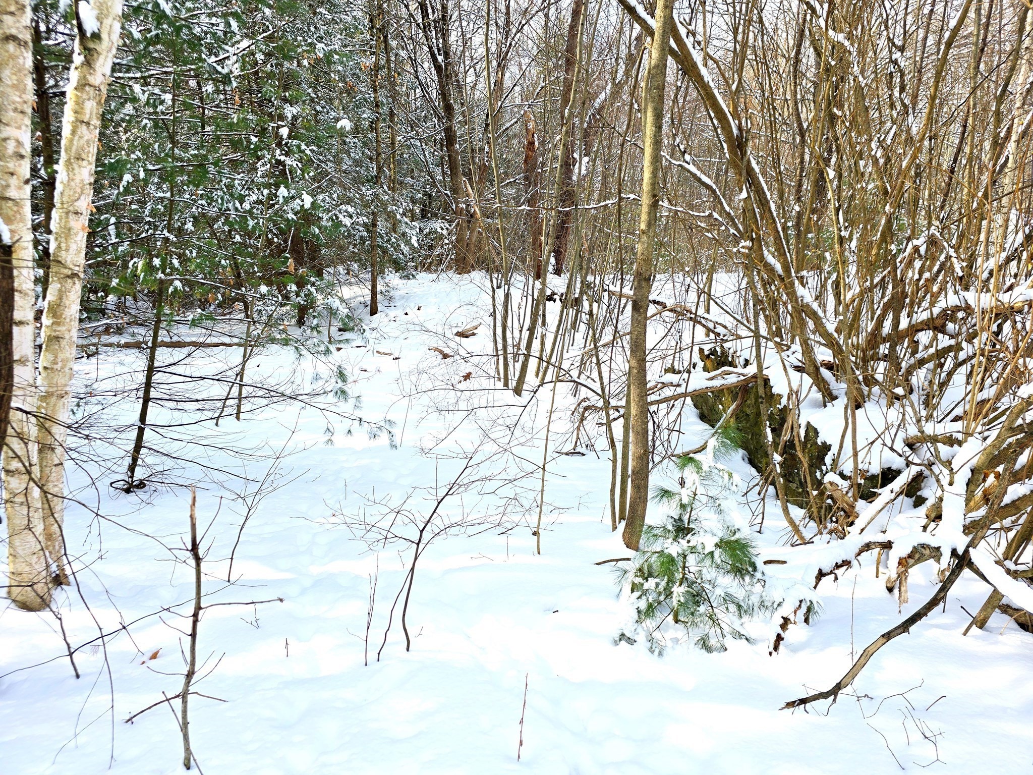 Lot 00 Petersham Road Athol, MA 01331 - Photo 6 of 7 Gallery Image 6
