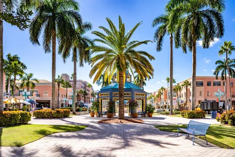 a view of a palm trees in front of a building