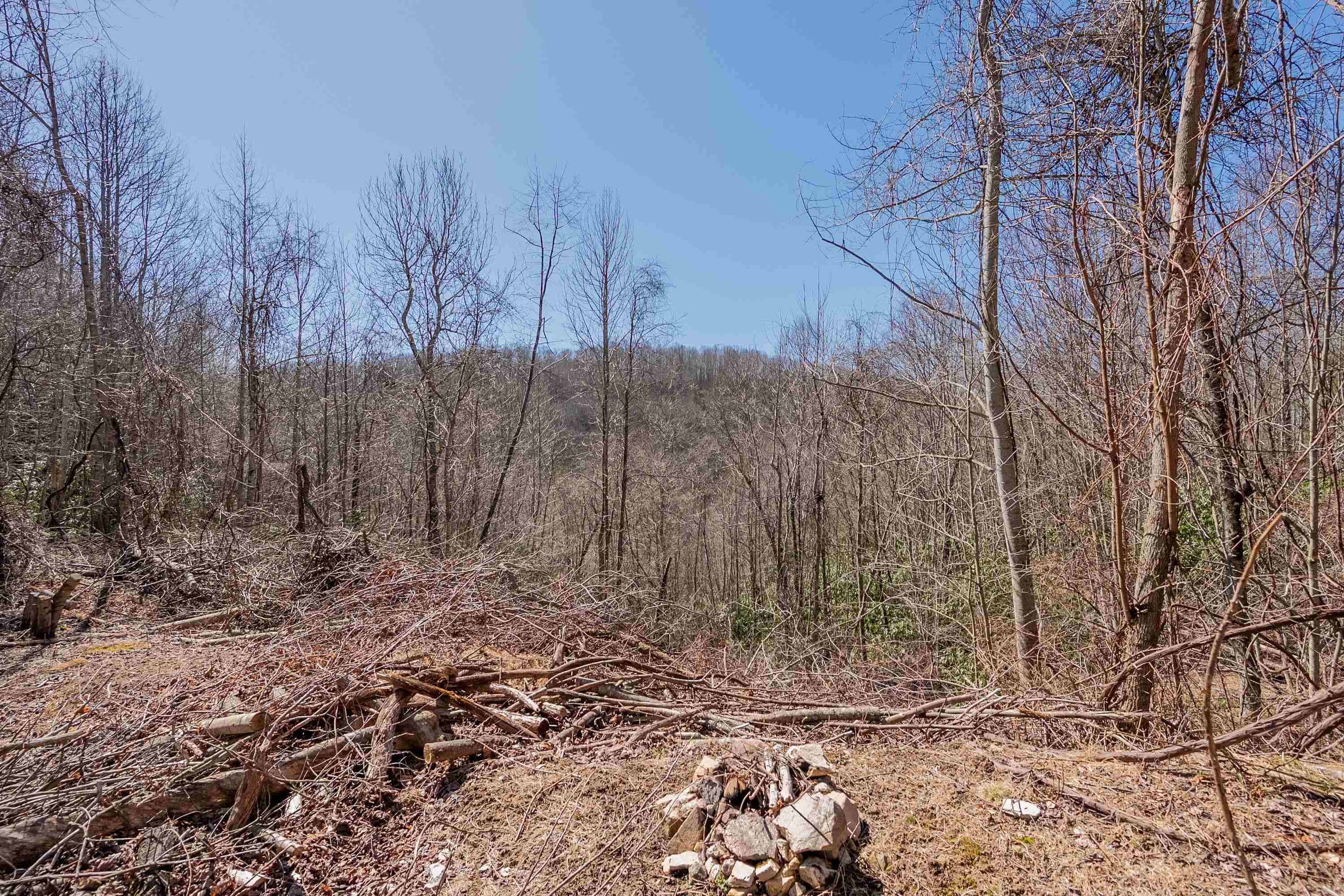 Tbd Southwest Tbd Sw Jeb Stuart Road Southwest Damascus, VA 24236 - Photo 76 of 113 Gallery Image 76