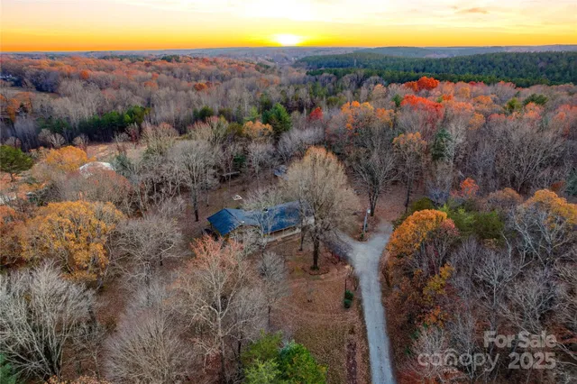 a view of a house with a mountain and a forest