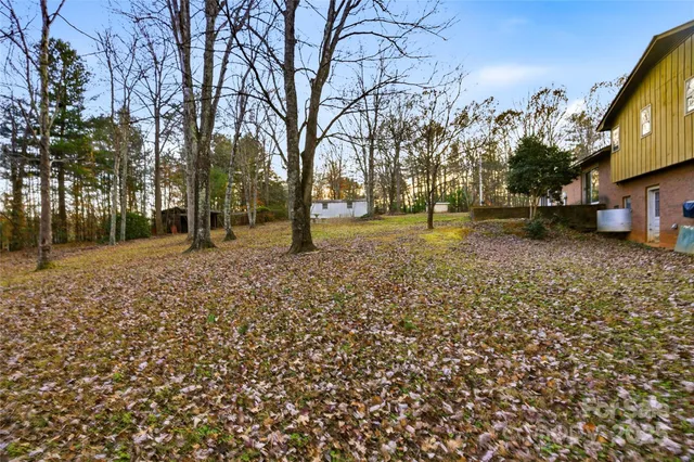 a view of a yard with plants and trees