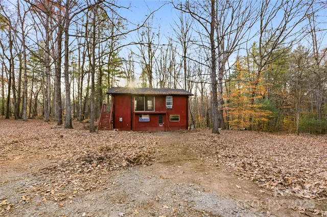 a street view with large trees