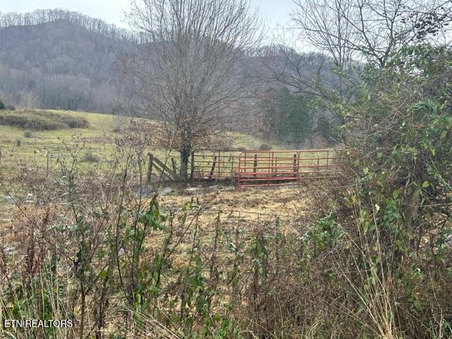 186 Blair Road Dryden, VA 24243 - Photo 6 of 30 IMG_7214