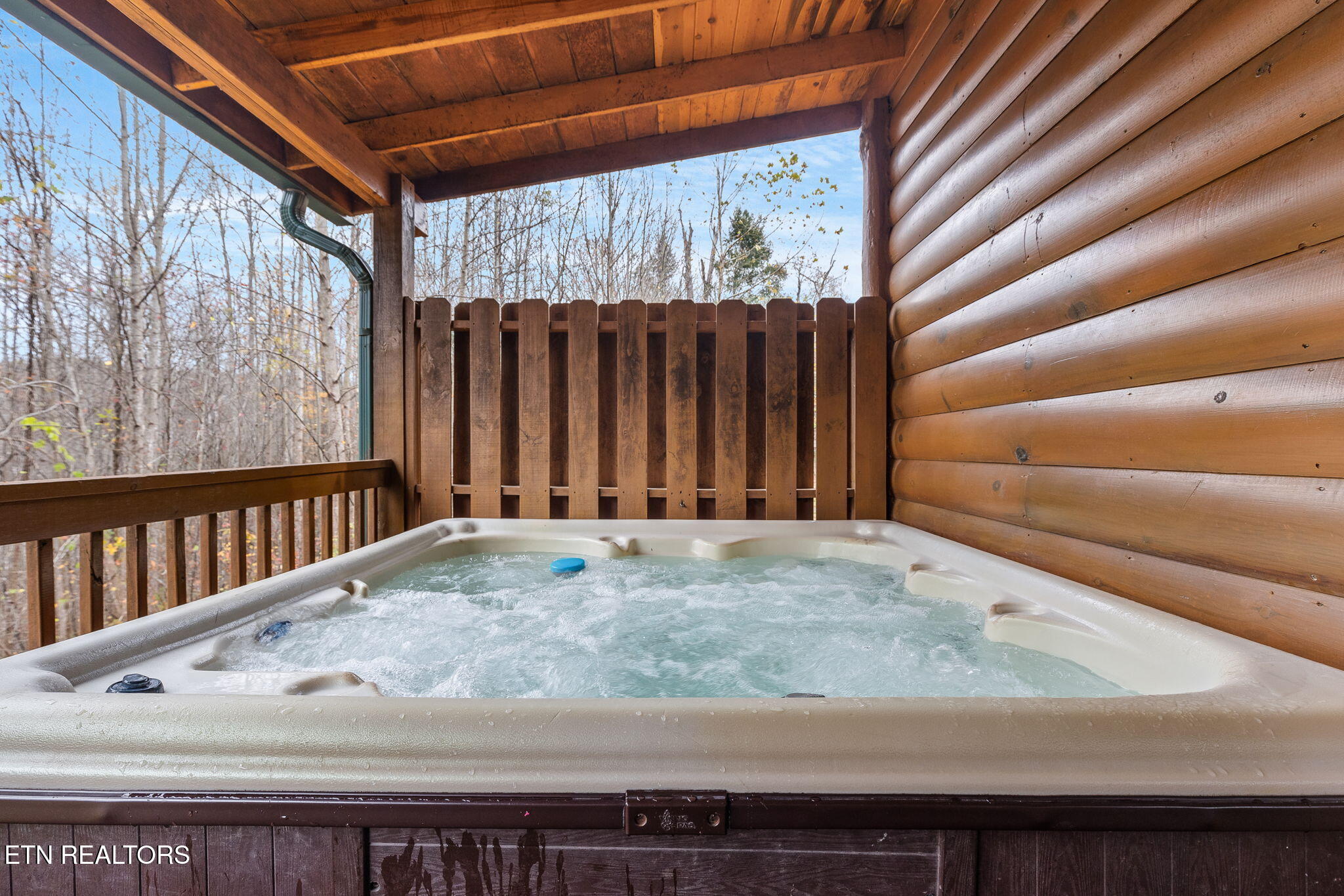 220 Amet Way Cosby, TN 37722 - Photo 48 of 53 49-web-or-mls-220-amet-way