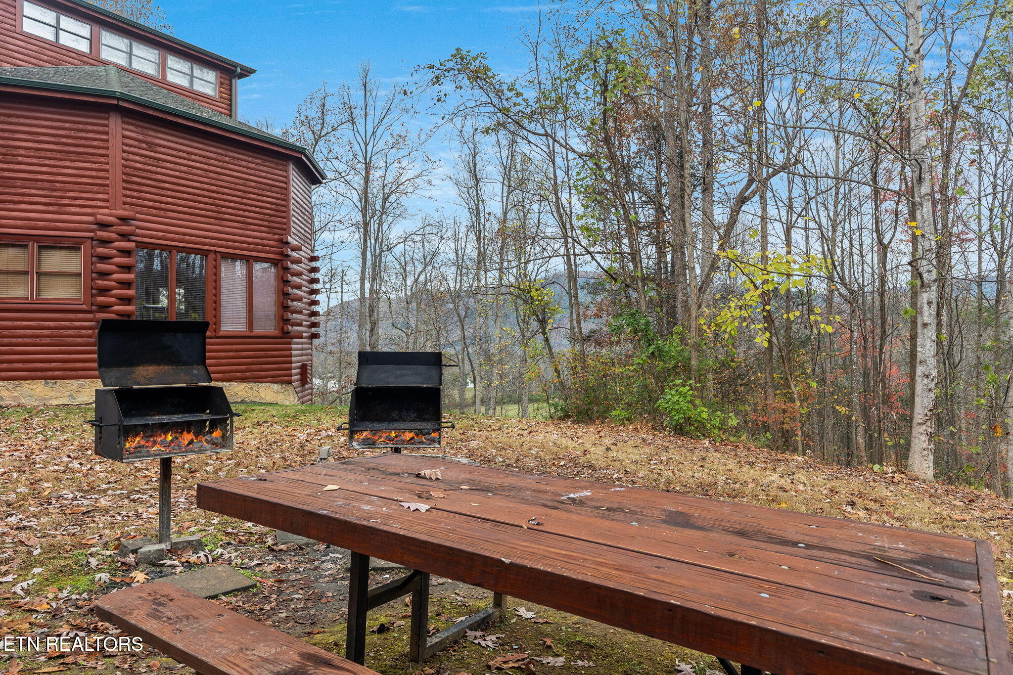 220 Amet Way Cosby, TN 37722 - Photo 49 of 53 50-web-or-mls-220-amet-way