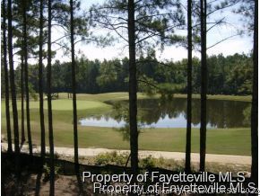 22 Hawk Pine Spring Lake Spring Lake, NC 28390 - Photo 8 of 9 Gallery Image 8