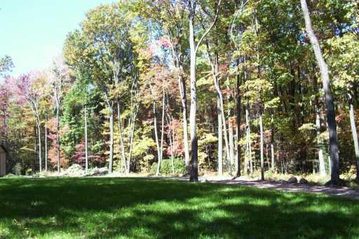 564 Shortcut Road Homer City, PA 15748 - Photo 2 of 3 Yard/Garden.