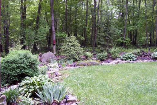 564 Shortcut Road Homer City, PA 15748 - Photo 3 of 3 Yard/Garden.