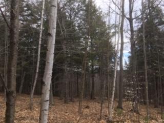 0 Sawyer Road Waterford, ME 04088 - Photo 1 of 9 IMG_6962