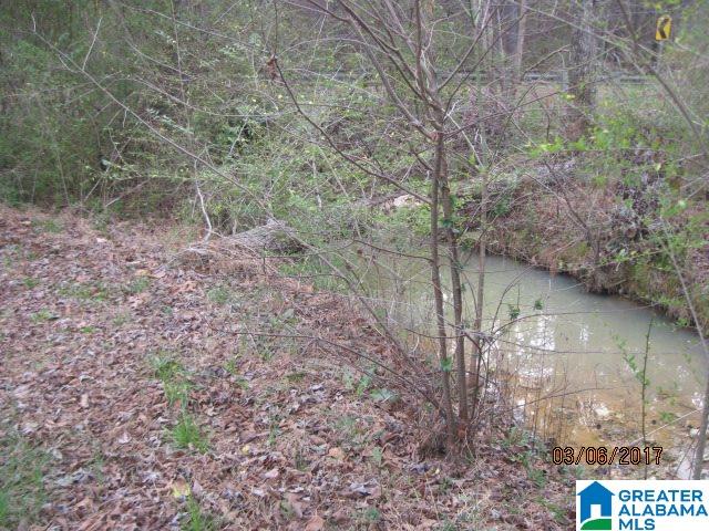 1441 Morrisville Road Anniston, AL 36201 - Photo 18 of 19