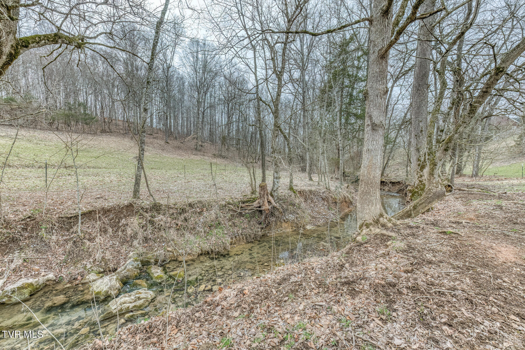 707 Egypt Road Bluff City, TN 37618 - Photo 5 of 16 Egypt Rd creek 2