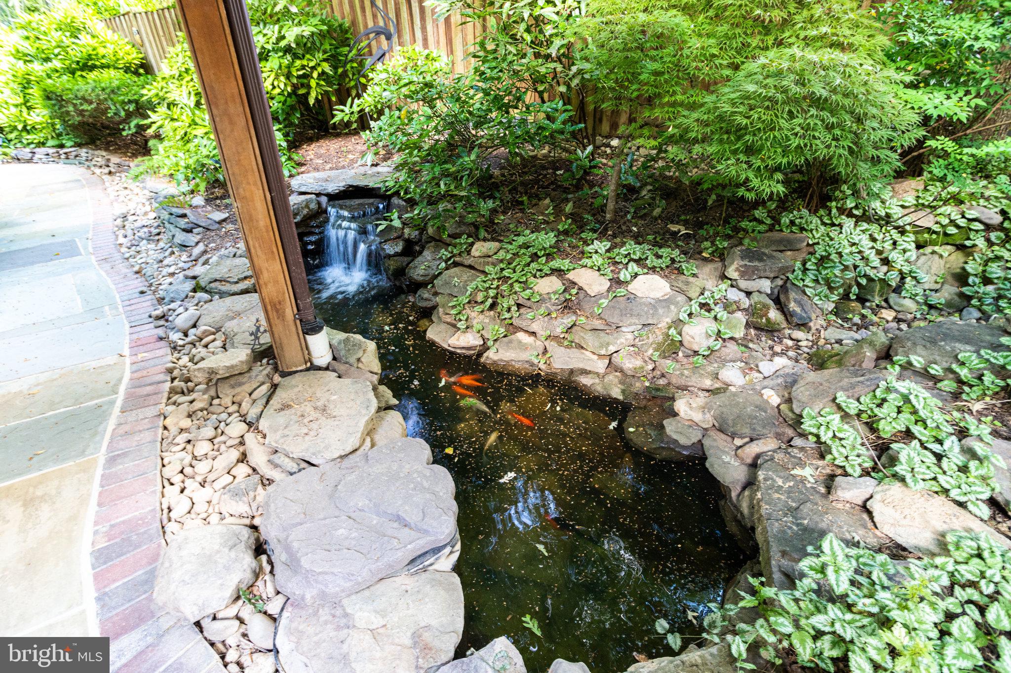 5910 Chesterbrook Road McLean, VA 22101 - Photo 3 of 53 Waterfall Koi Pond to Welcome guests