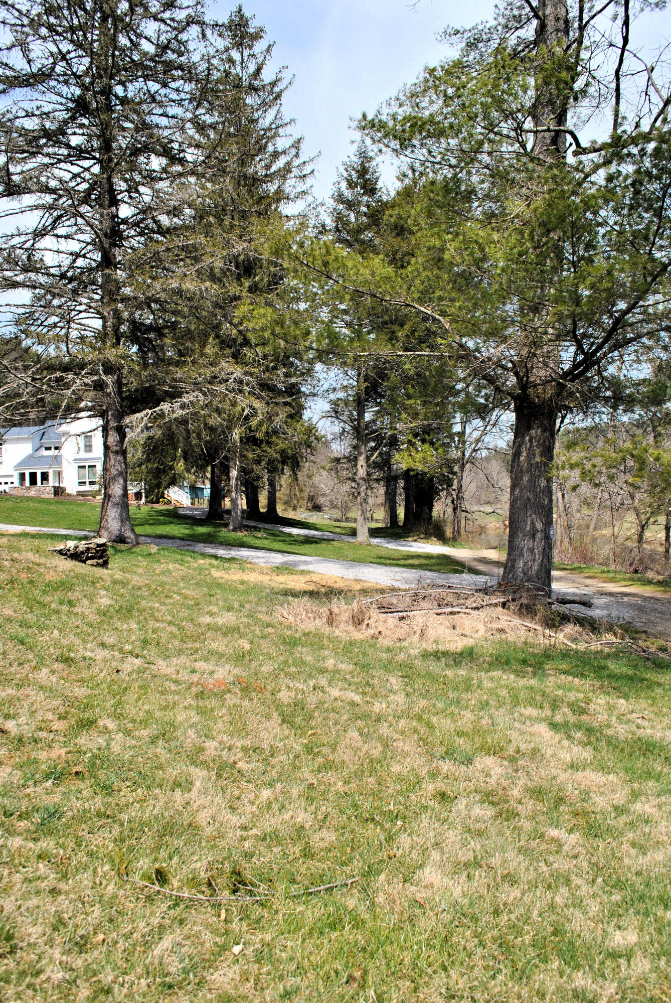 6500 Little Camp Road Riner, VA 24149 - Photo 115 of 121 92DSC_0923