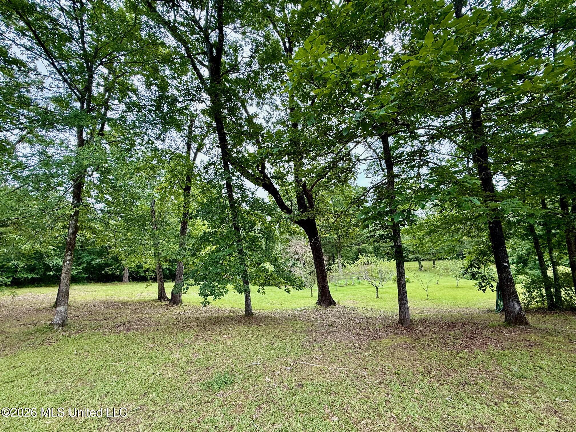 South Eagle Ridge Drive Florence, MS 39073 - Photo 7 of 8 IMG_0852
