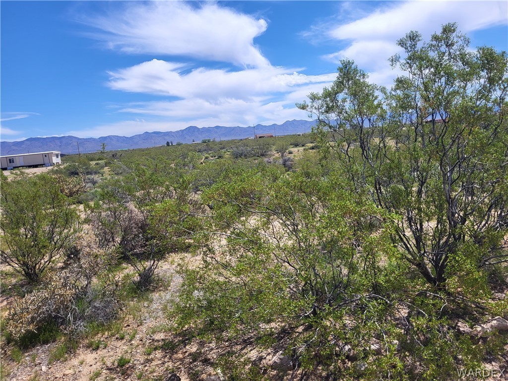 5397 Cordes Road Golden Valley, AZ 86413 - Photo 41 of 50 a view of a city with lush green forest