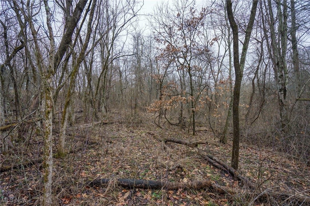 Red Lane Road Cumberland, OH 43732 - Photo 14 of 18 View of local wilderness featuring a view of trees