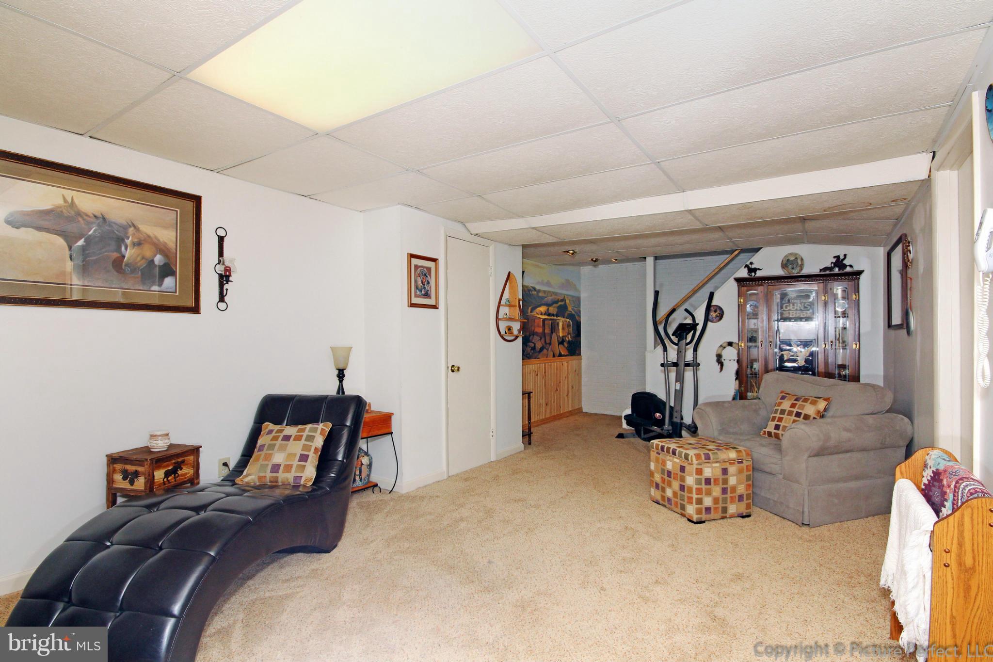 205 Savage Road Frederick, MD 21702 - Photo 20 of 25 Finished rec room 3