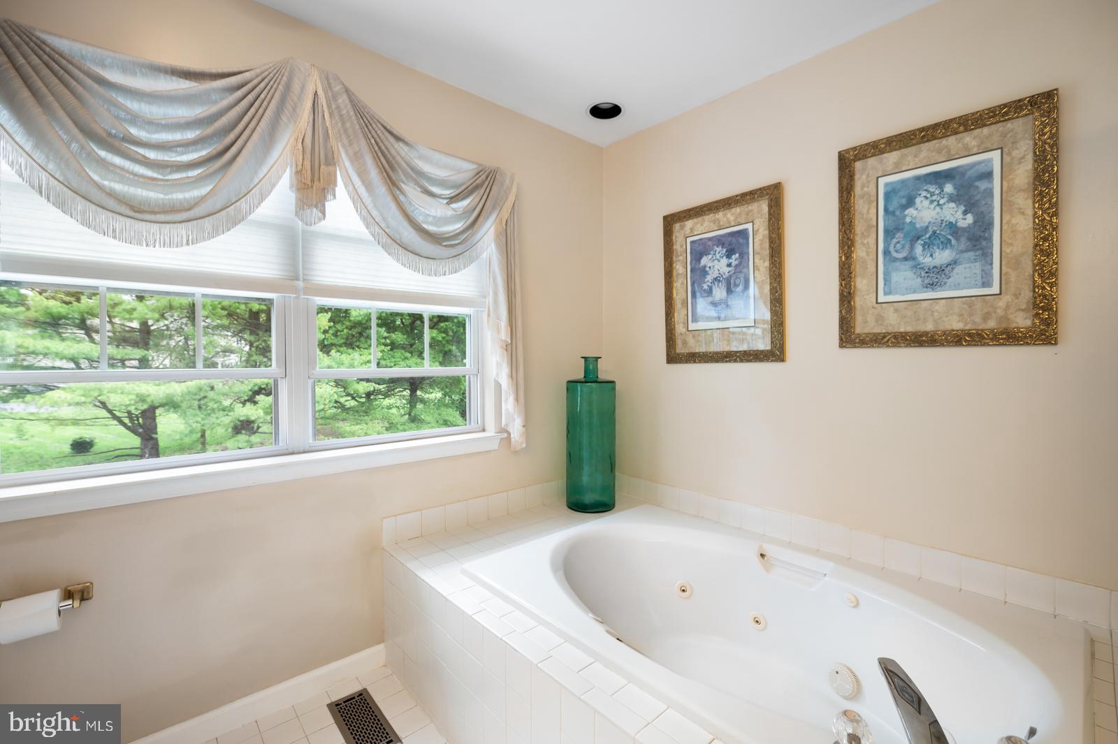 1322 Longmeadow Road Garnet Valley, PA 19060 - Photo 48 of 71 Spa Tub