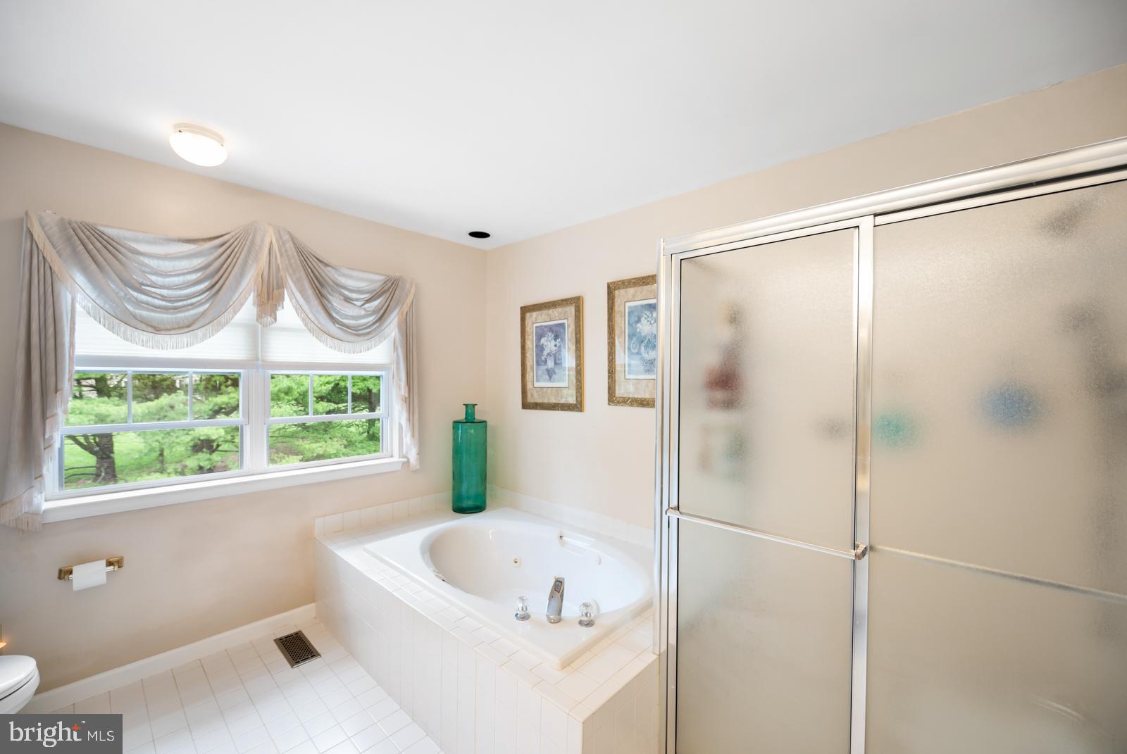 1322 Longmeadow Road Garnet Valley, PA 19060 - Photo 49 of 71 Separate Shower