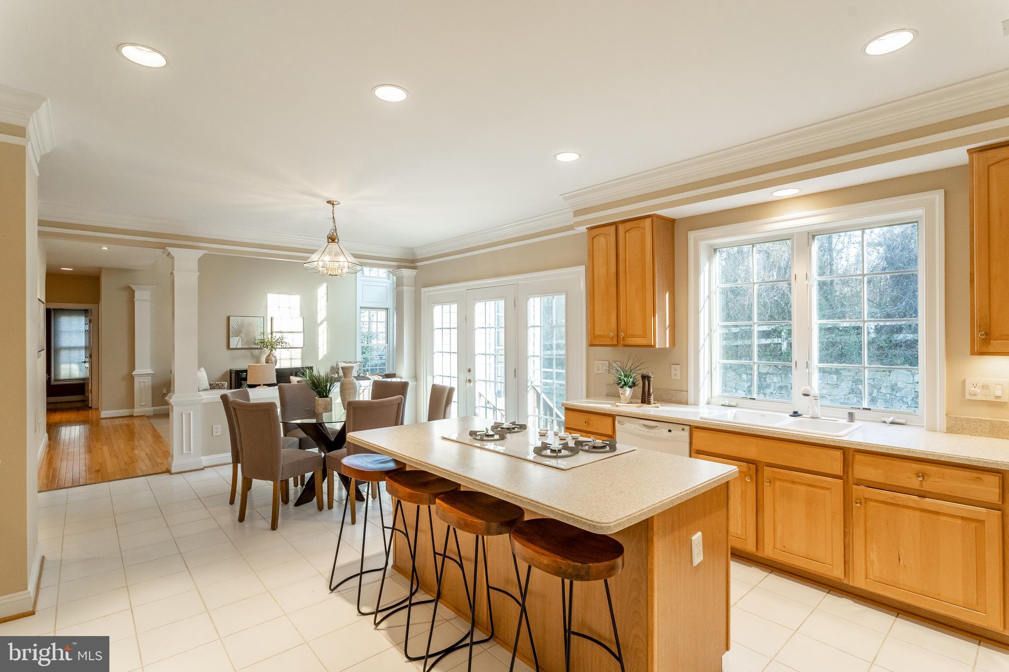 11417 Ridge Mist Terrace Potomac, MD 20854 - Photo 10 of 29 Gourmet Kitchen w/Access to Backyard