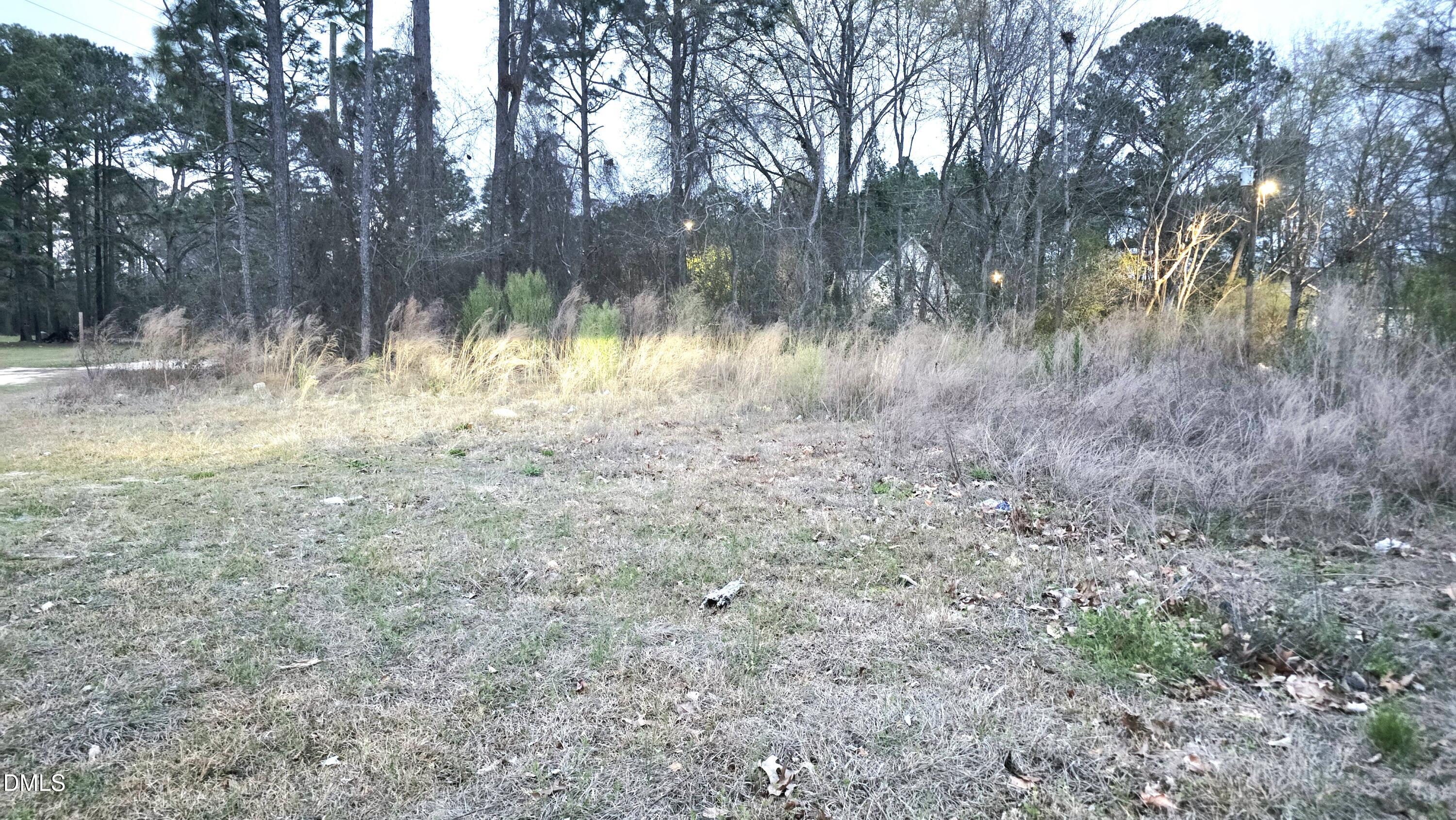 0 Camden Road Fayetteville, NC 28306 - Photo 2 of 2 a view of a lake with a tree in the background
