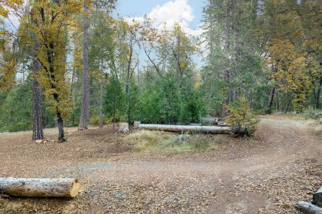 a view of a yard with a tree