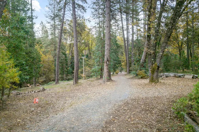a view of outdoor space and trees