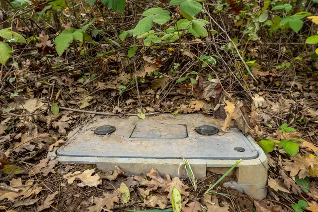 a view of small yard