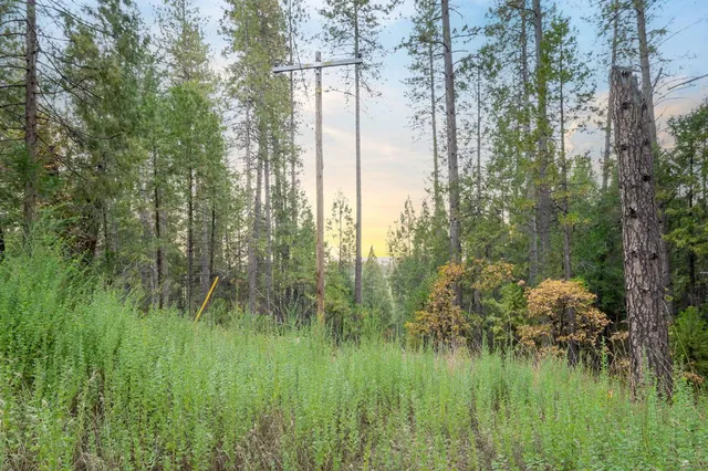 a view of outdoor space with trees