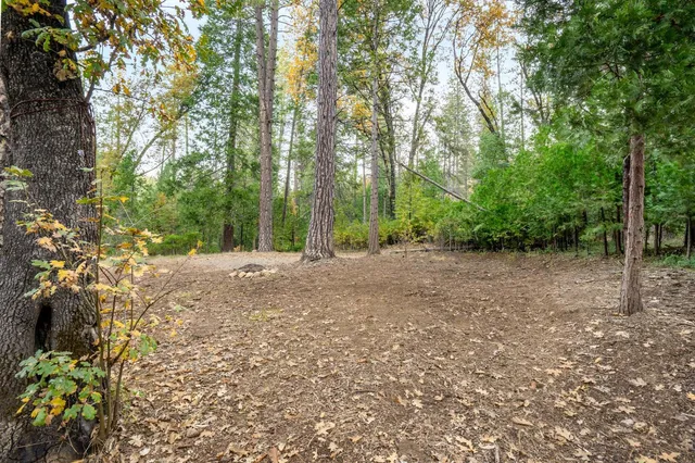 a view of a backyard with wooden fence