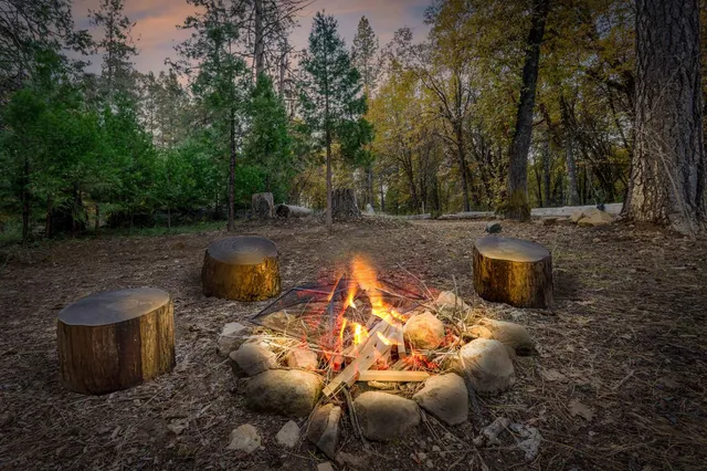 a view of a dirt road with trees in the background