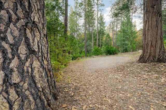 a wooden fence with trees in the background
