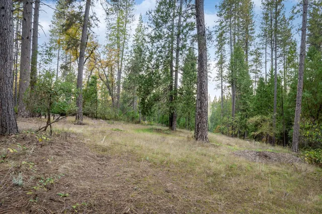 a view of outdoor space and trees