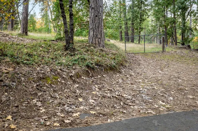 a view of backyard with green space and porch