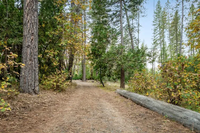 a view of dirt field with trees in the background