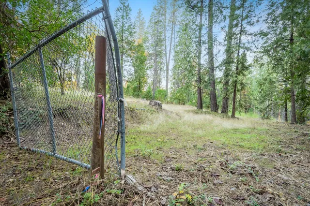 a view of a lake with a tree