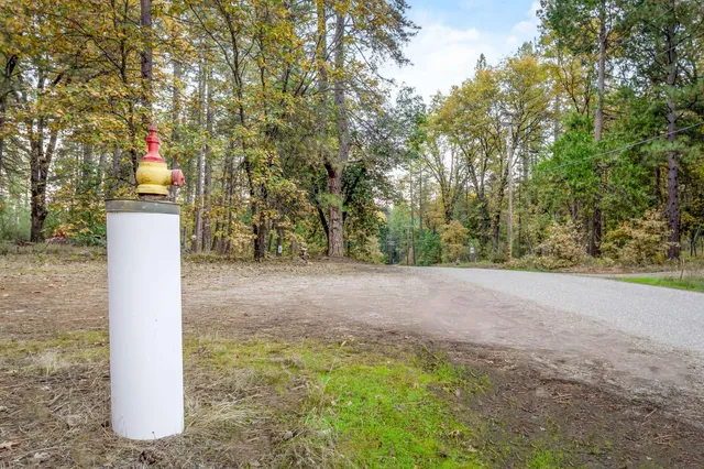 a view of a forest with a forest