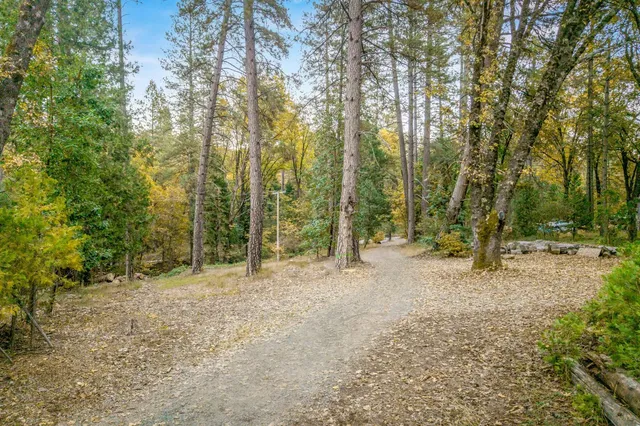 a view of outdoor space with trees