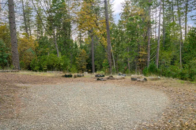 a view of a field with trees in the background